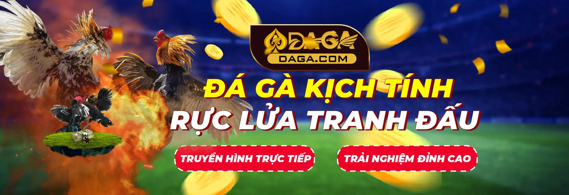 Baner đá gà đầy kịch tính rực lửa