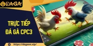 Trực tiếp đá gà Cp3